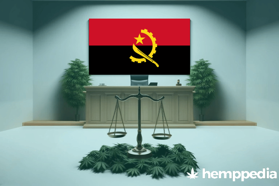 Is CBD legal in Angola? – Update 2024